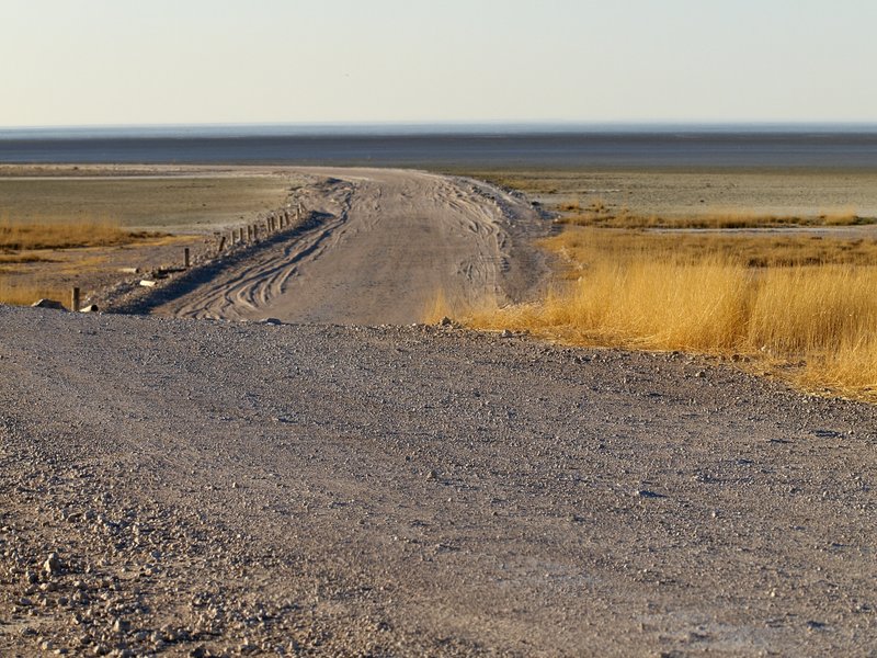 Etosha National Park